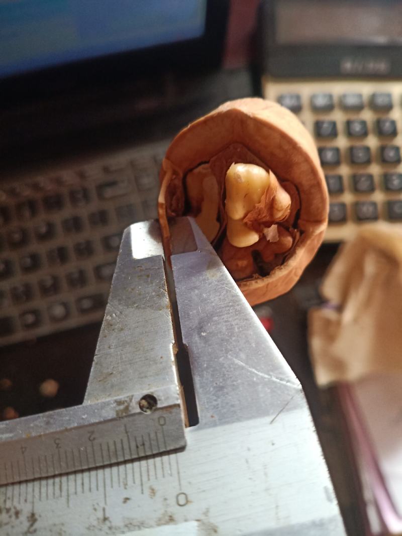 33熟核桃草本味奶油味