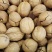 33熟核桃草本味奶油味