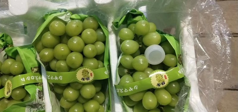 香印阳光玫瑰海量货源，框装，箱装有，质量好价格美丽