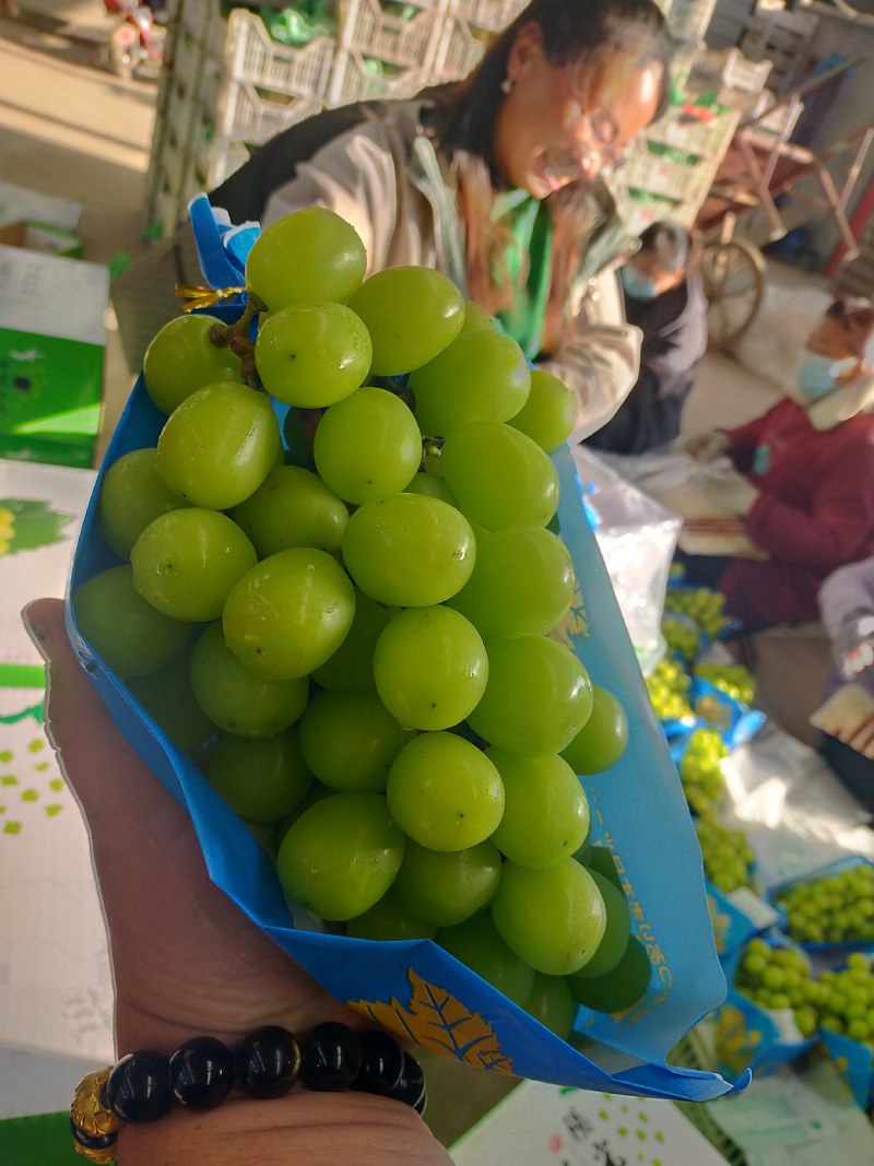 香印阳光玫瑰海量货源，框装，箱装有，质量好价格美丽