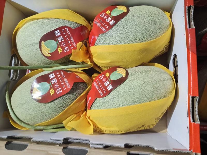 哈密瓜原产地晓密25号甜瓜水果稳定货源价格优惠品种全！
