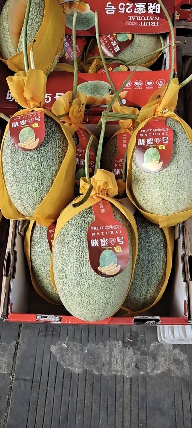 【精选】晓蜜25号哈密瓜对标商超一手货源欢迎来电