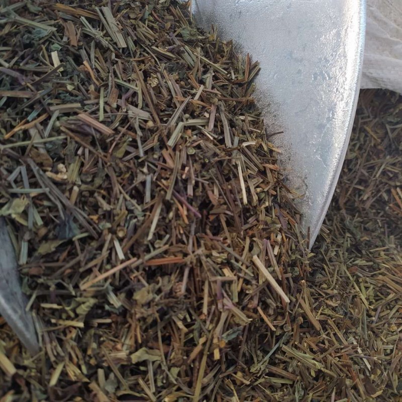 半枝莲产地直供支持线上交易可搭配多品种采购大货联系