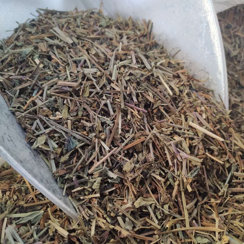 半枝莲产地直供支持线上交易可搭配多品种采购大货联系