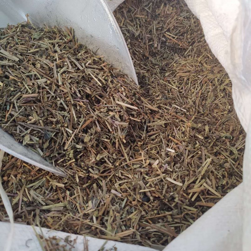 半枝莲产地直供支持线上交易可搭配多品种采购大货联系