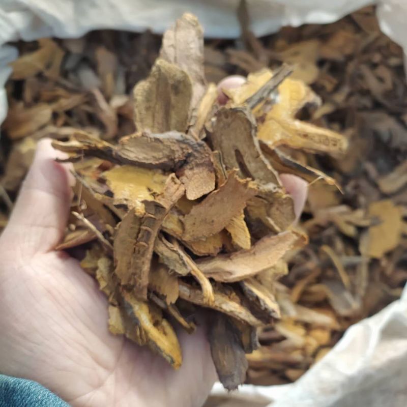 虎杖产地直供支持线上交易可搭配多品种采购大货联系客服