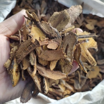 虎杖产地直供支持线上交易可搭配多品种采购大货联系客服