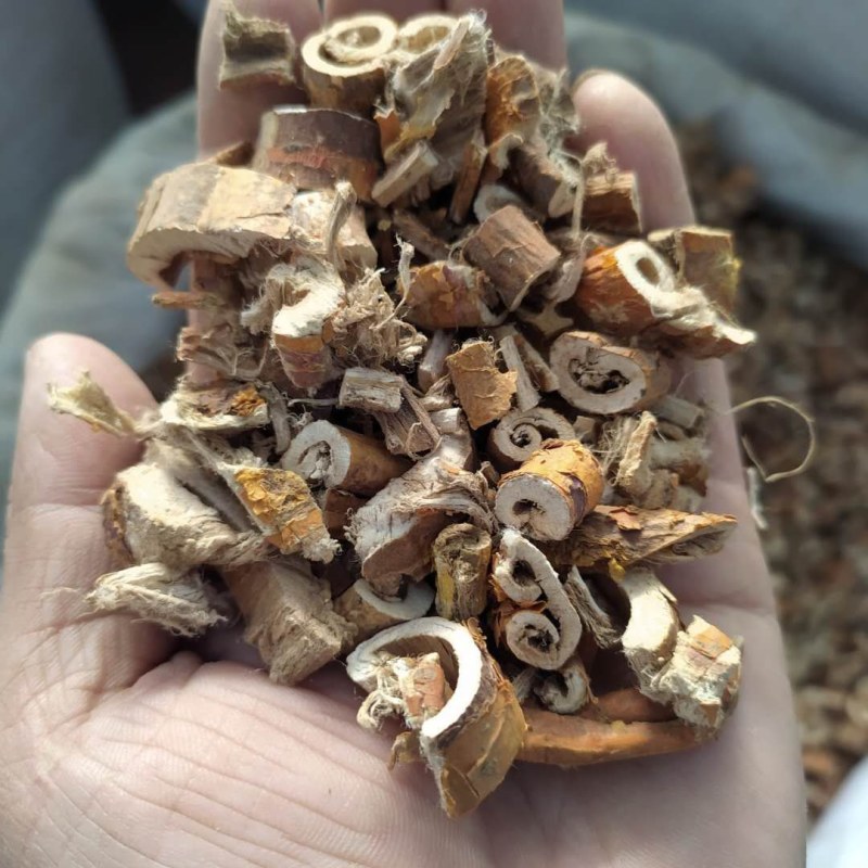 桑白皮产地直供支持线上交易可搭配多品种采购大货联系客