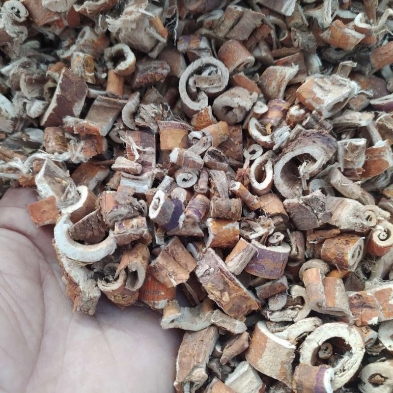 桑白皮产地直供支持线上交易可搭配多品种采购大货联系客