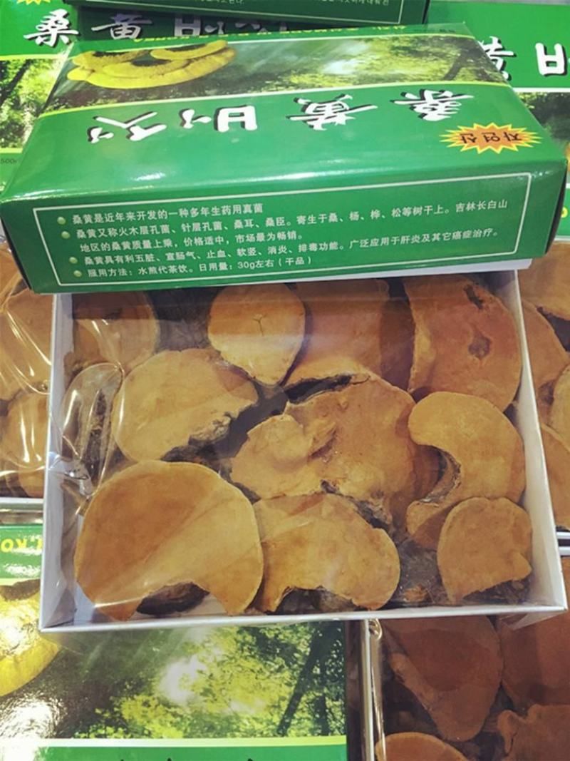 正宗北朝进口野生桑黄一盒500克一公斤起包邮