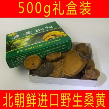 正宗北朝进口野生桑黄一盒500克一公斤起包邮