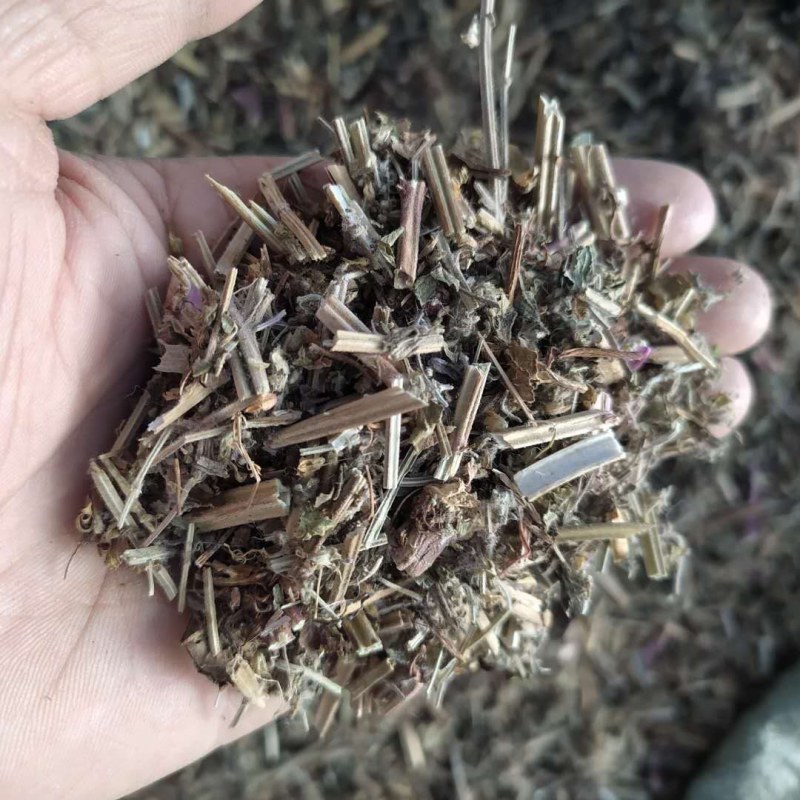荔枝草产地直供支持线上交易可搭配多品种采购