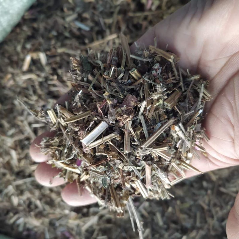 荔枝草产地直供支持线上交易可搭配多品种采购