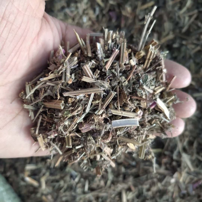 荔枝草产地直供支持线上交易可搭配多品种采购