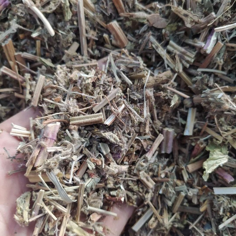 荔枝草产地直供支持线上交易可搭配多品种采购