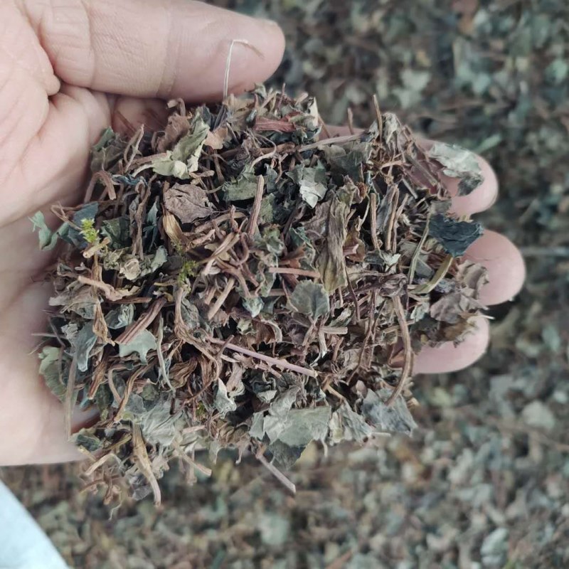 小叶金钱草产地直供支持线上交易可搭配多品种采购