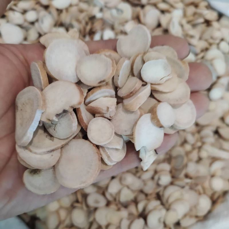 白芍芍药支持线上交易各种规格接受订单可搭配多品