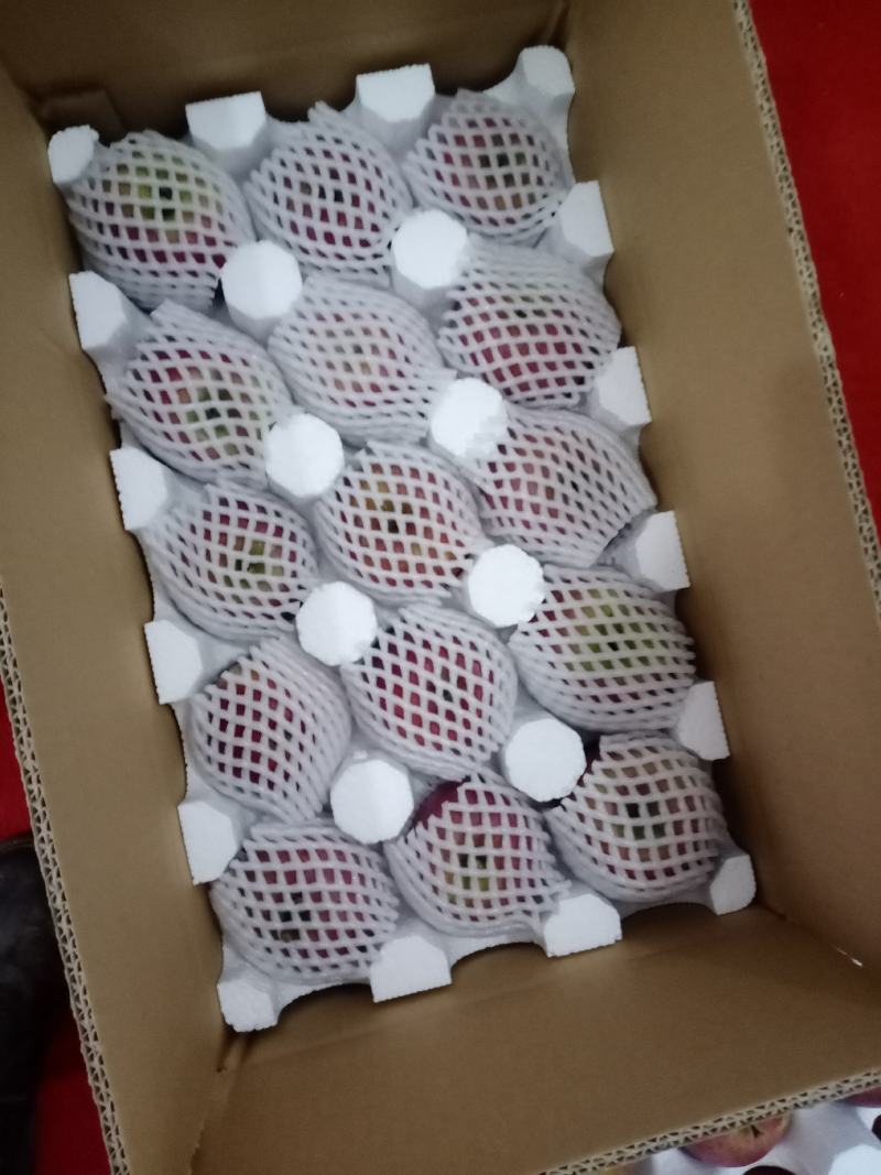 正宗云南昭通苹果，原生糖心丑苹果现摘现发糖心苹果