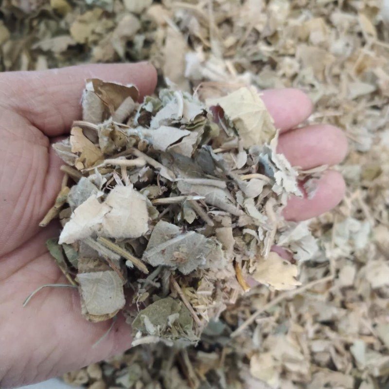 寻骨风产地直供支持线上交易可搭配多品种采购大货联系