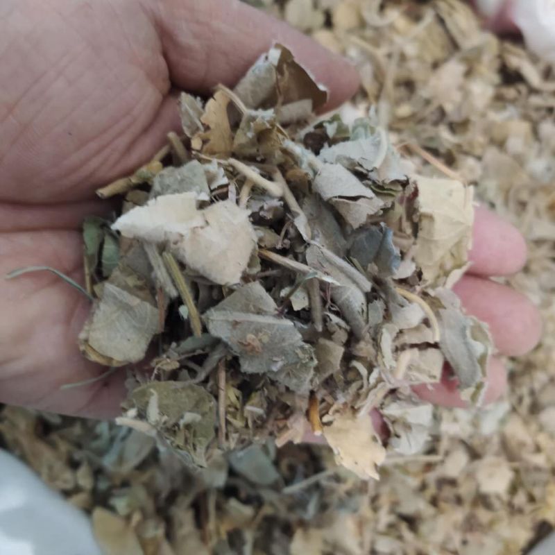 寻骨风产地直供支持线上交易可搭配多品种采购大货联系