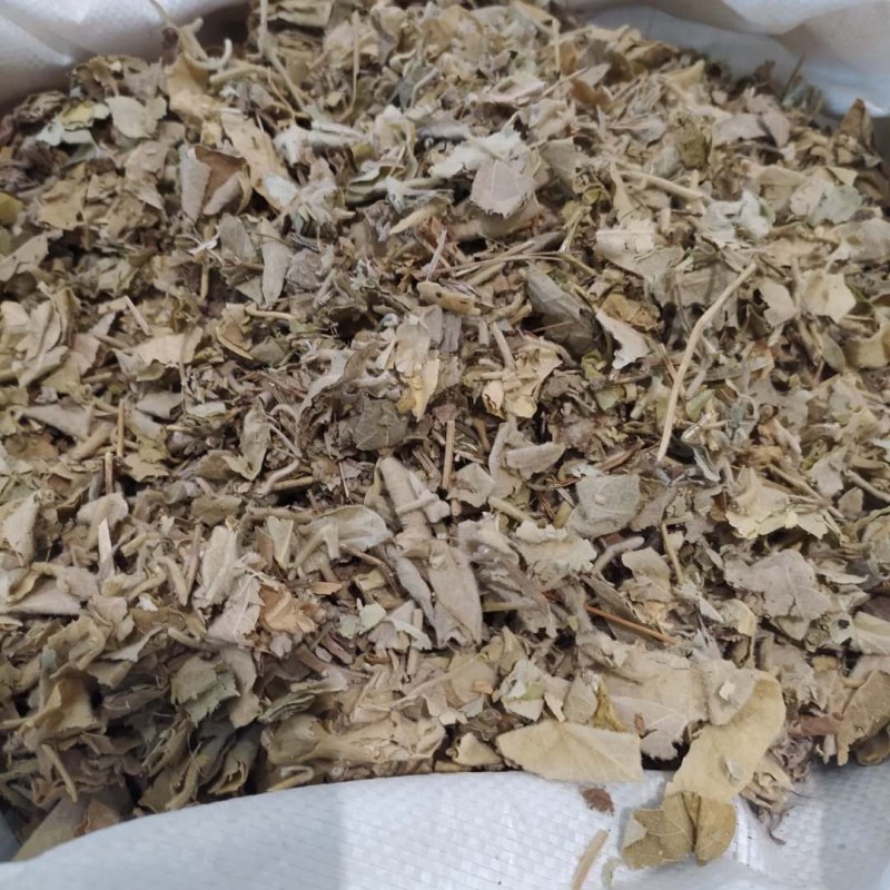 寻骨风产地直供支持线上交易可搭配多品种采购大货联系