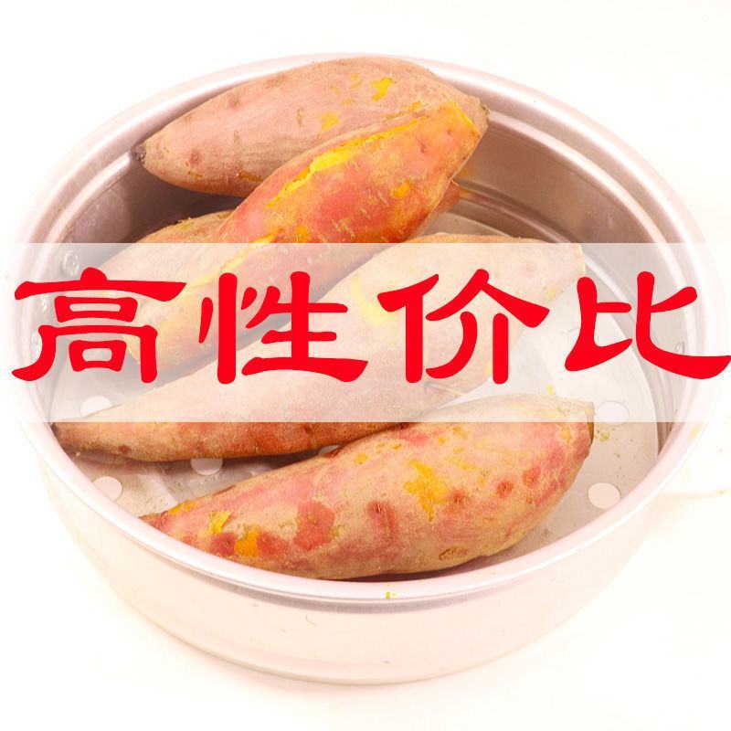山东红薯板栗薯济薯26号，粉糯香甜大货发物流支持一件代发