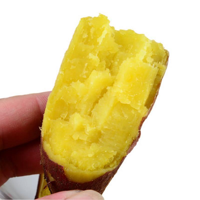 山东红薯板栗薯济薯26号，粉糯香甜大货发物流支持一件代发