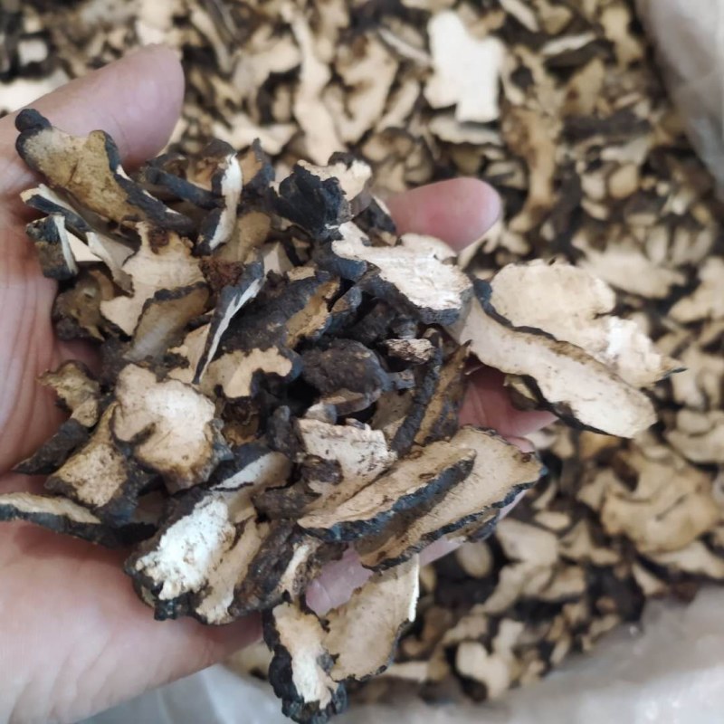 猪苓产地直供支持线上交易可搭配多品种采购大货联系客