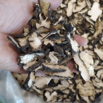 猪苓产地直供支持线上交易可搭配多品种采购大货联系客