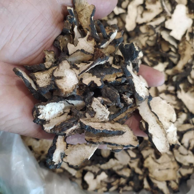 猪苓产地直供支持线上交易可搭配多品种采购大货联系客