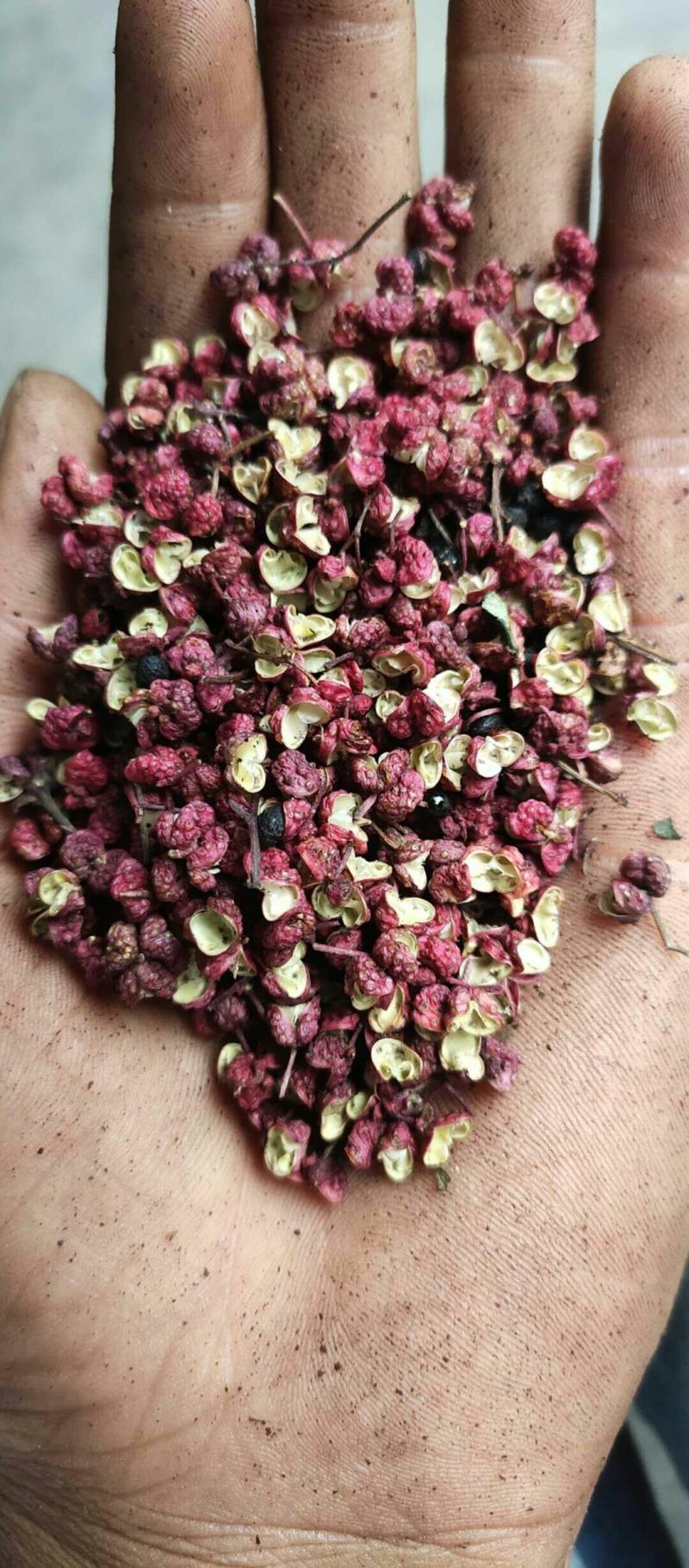 2022年新货大红袍花椒！颗粒大麻度高、饭店火锅店专用椒