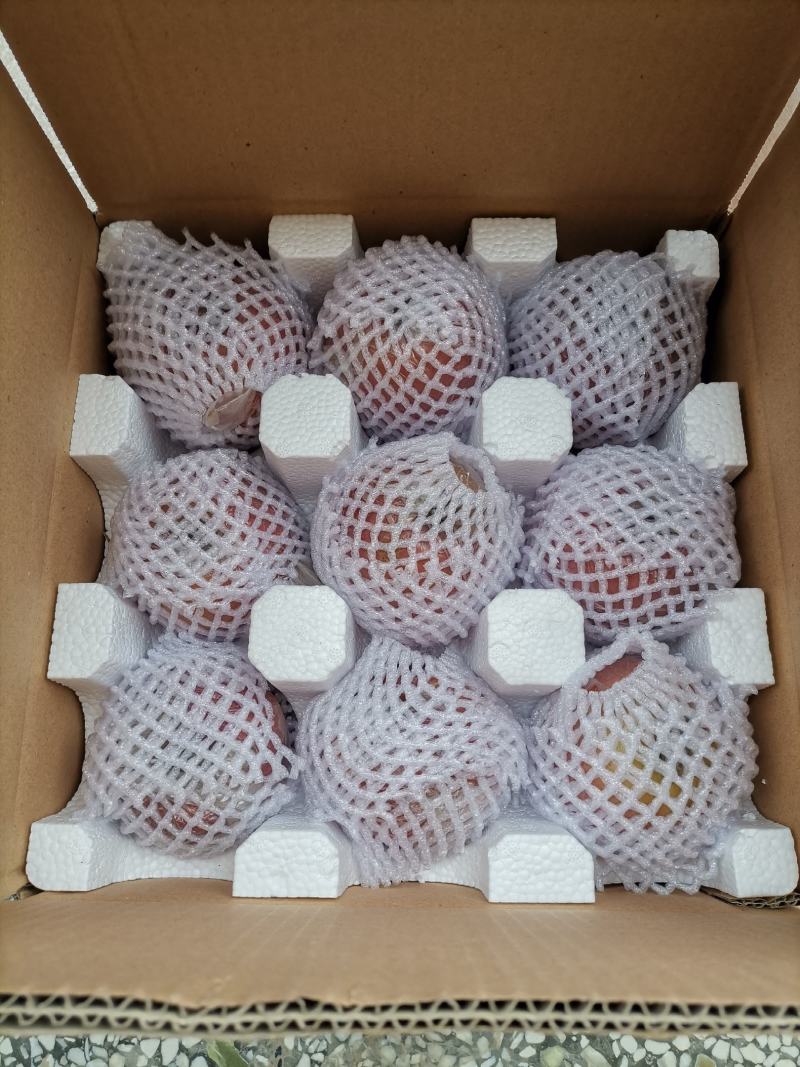 陕西特产富士王苹果,口感甜脆,可带皮吃,一件代发快递发货