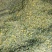 野菊花河南信陽野菊花大別山特產幹度好今年新貨