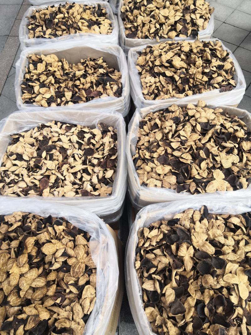 包邮5-40老陈皮老货陈皮陈皮无硫欢迎咨询