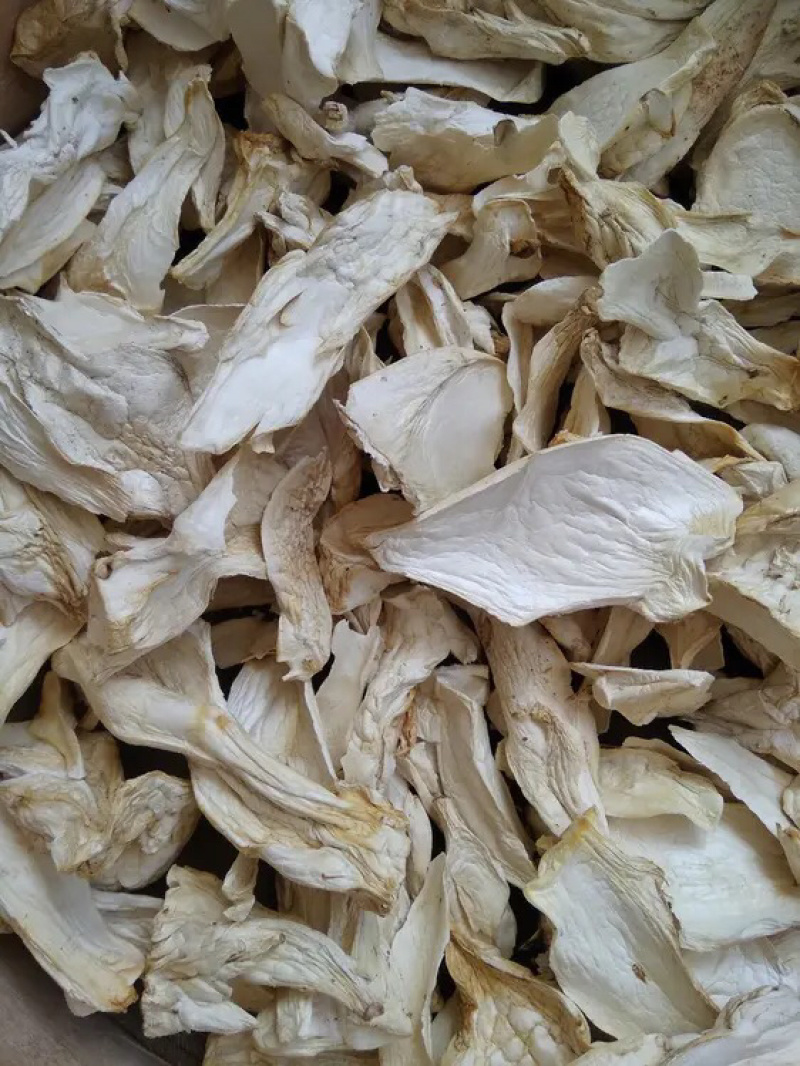 产地园区直供杏鲍菇大中小干片颜色好煲汤佳品