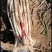 大葱毛葱2cm左右40cm