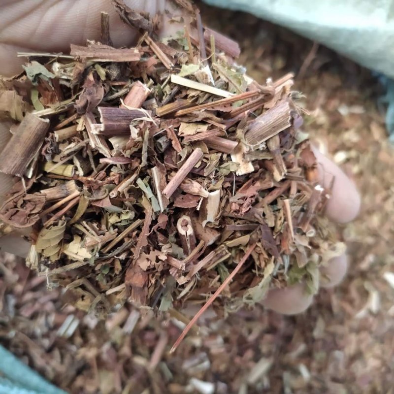辣蓼草产地直供支持线上交易可搭配多品种采购大货联系
