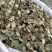 荷叶产地直供支持线上交易可搭配多品种采购大货联系客服
