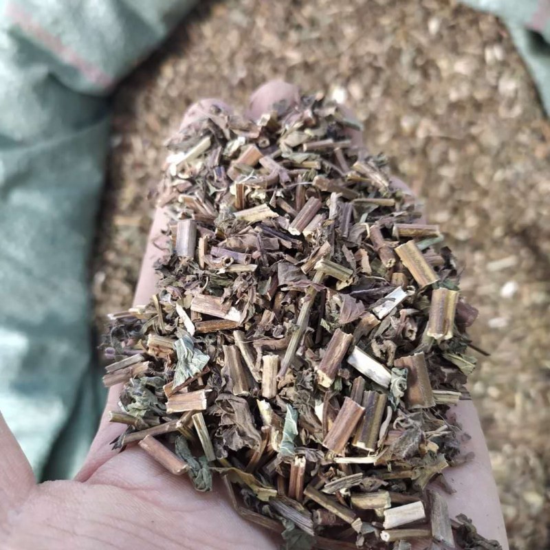 薄荷产地直供支持线上交易可搭配多品种采购大货联系客服
