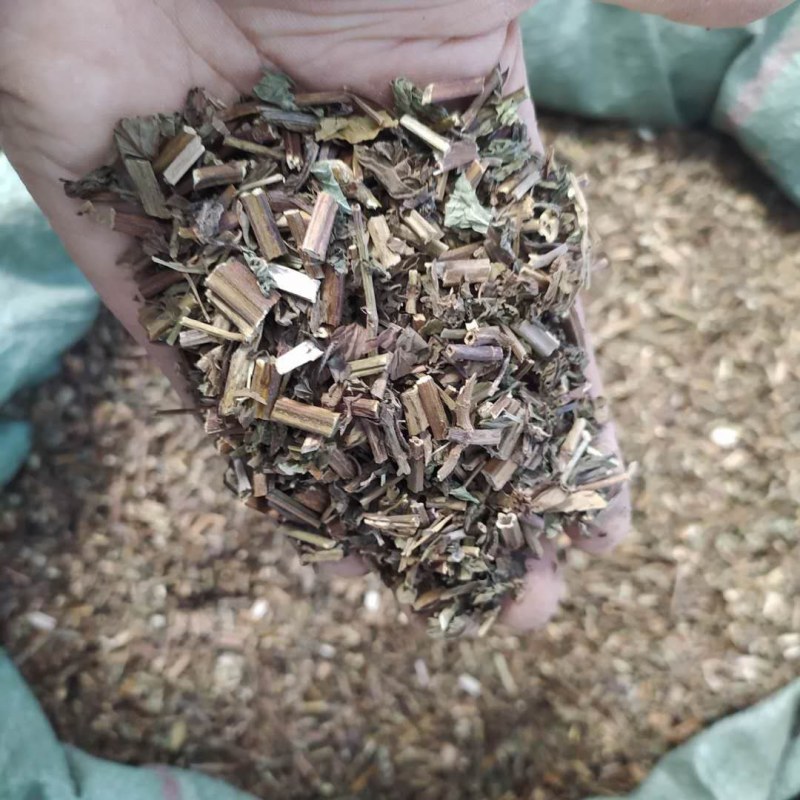 薄荷产地直供支持线上交易可搭配多品种采购大货联系客服