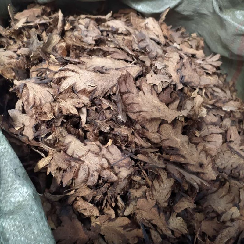 贯众产地直供支持线上交易可搭配多品种采购大货联系客服