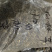 仙桃草无硫磺熏蒸一公斤起批