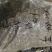 仙桃草无硫磺熏蒸一公斤起批