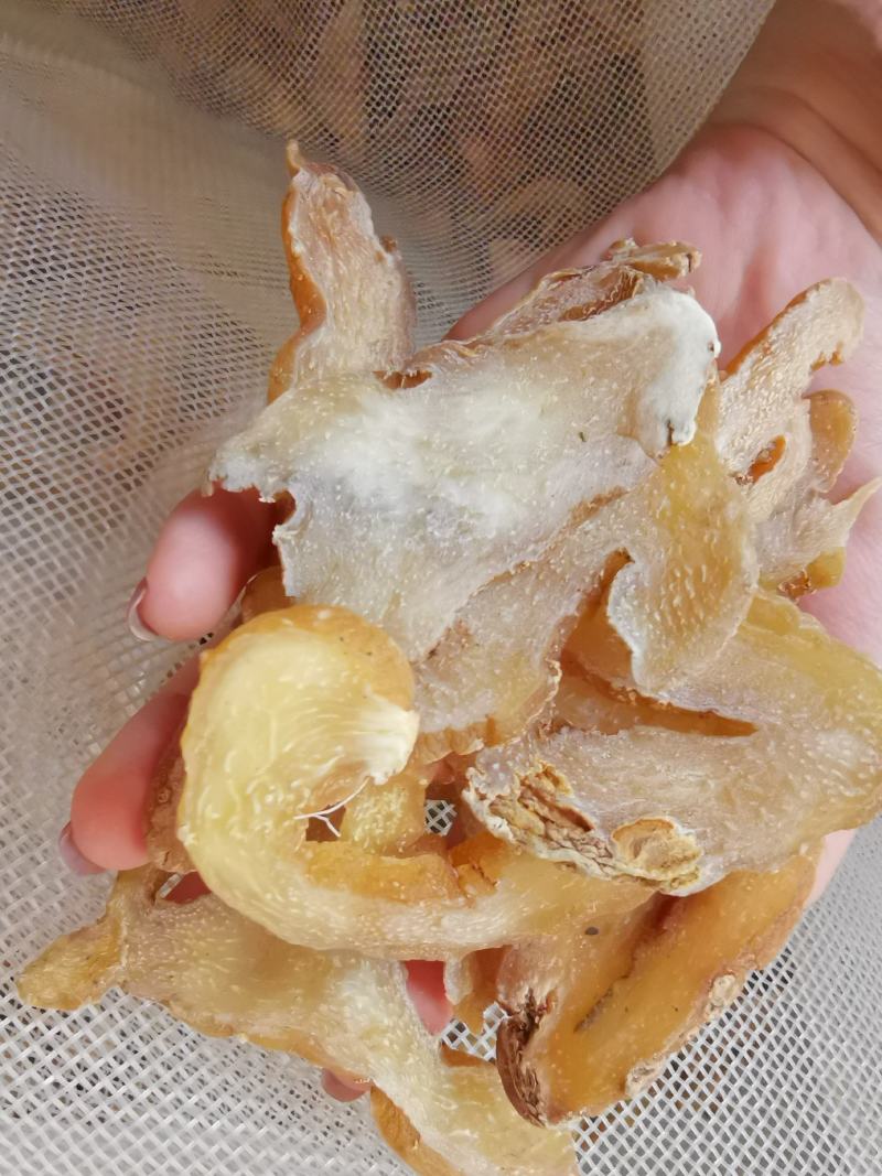 黄精无硫新货黄精片规格齐全可供实体店批发零售量大从优