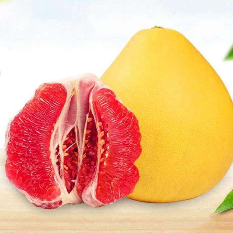 【精品蜜柚】精品红心蜜柚白心蜜柚一手货源果面干净