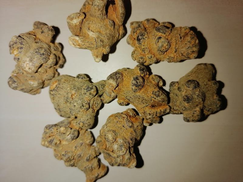 云南文山三七（市场代卖）