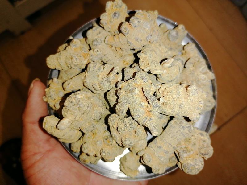 云南文山三七（市场代卖）