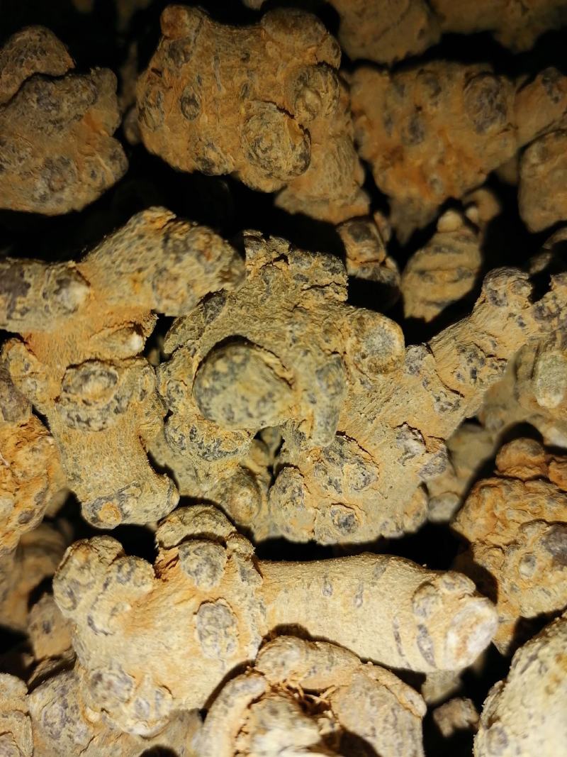 云南文山三七（市场代卖）