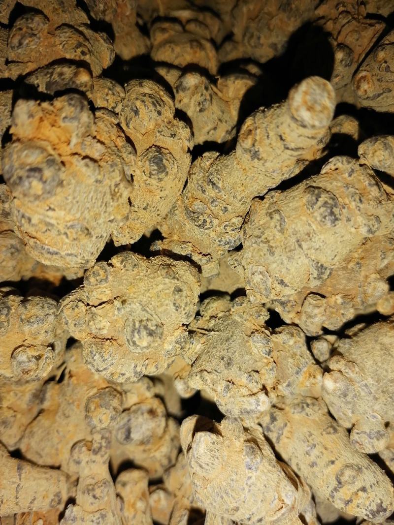 云南文山三七（市场代卖）