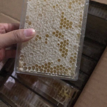 《特价蜂巢蜜》二级巢蜜自产自销质量保证批发一件